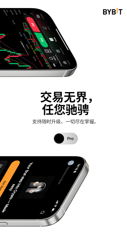 bybit交易所官网入口