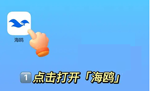 1782292456581247.jpg 03902ab29586e2d2729ed89fa58f0083_2025015782265583.jpg