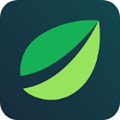 绿叶(Bifinex)交易所app