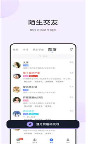 海鸥聊天官网正版