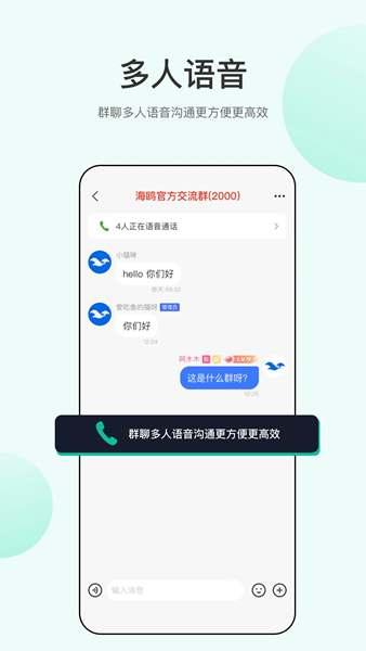 海鸥安全聊天app