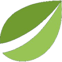 绿叶交易所(bitfinex)